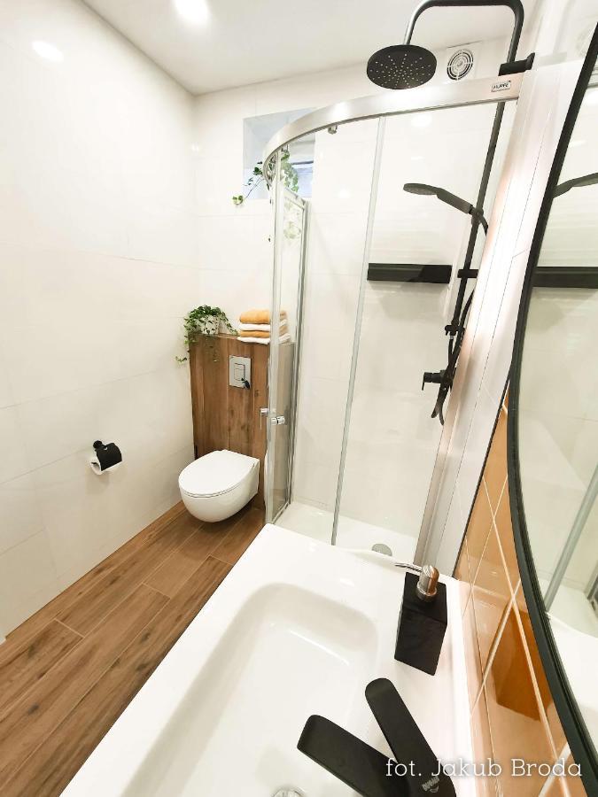 Toszeckie Apartment