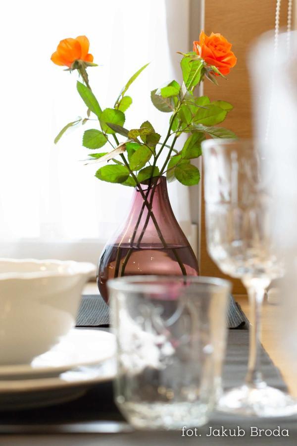 Toszeckie Apartment *