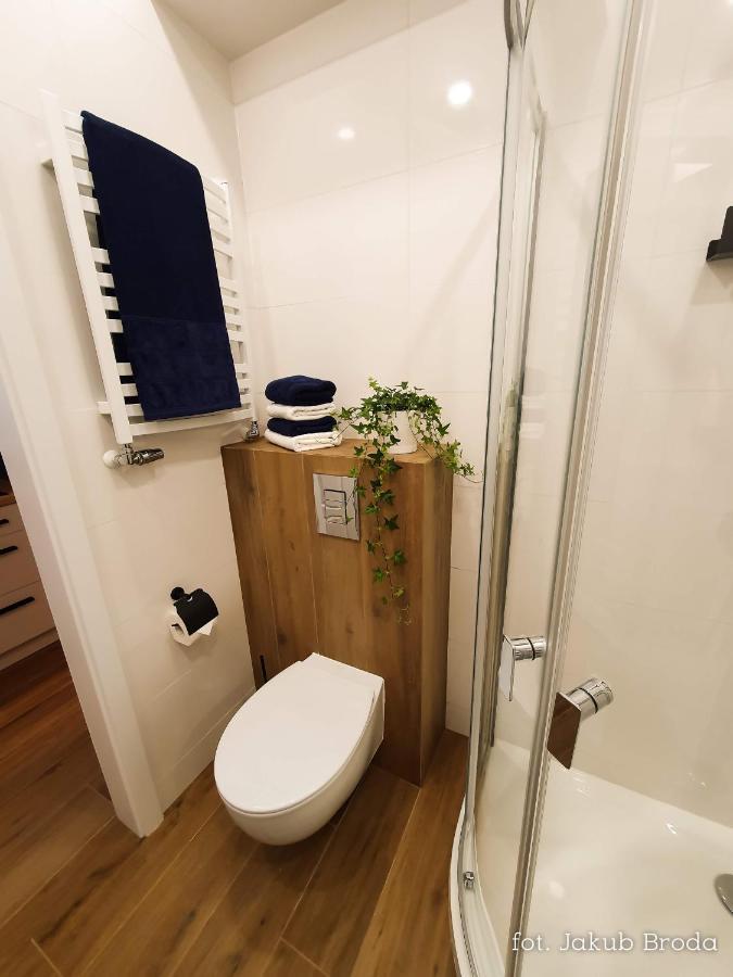 Toszeckie Apartment