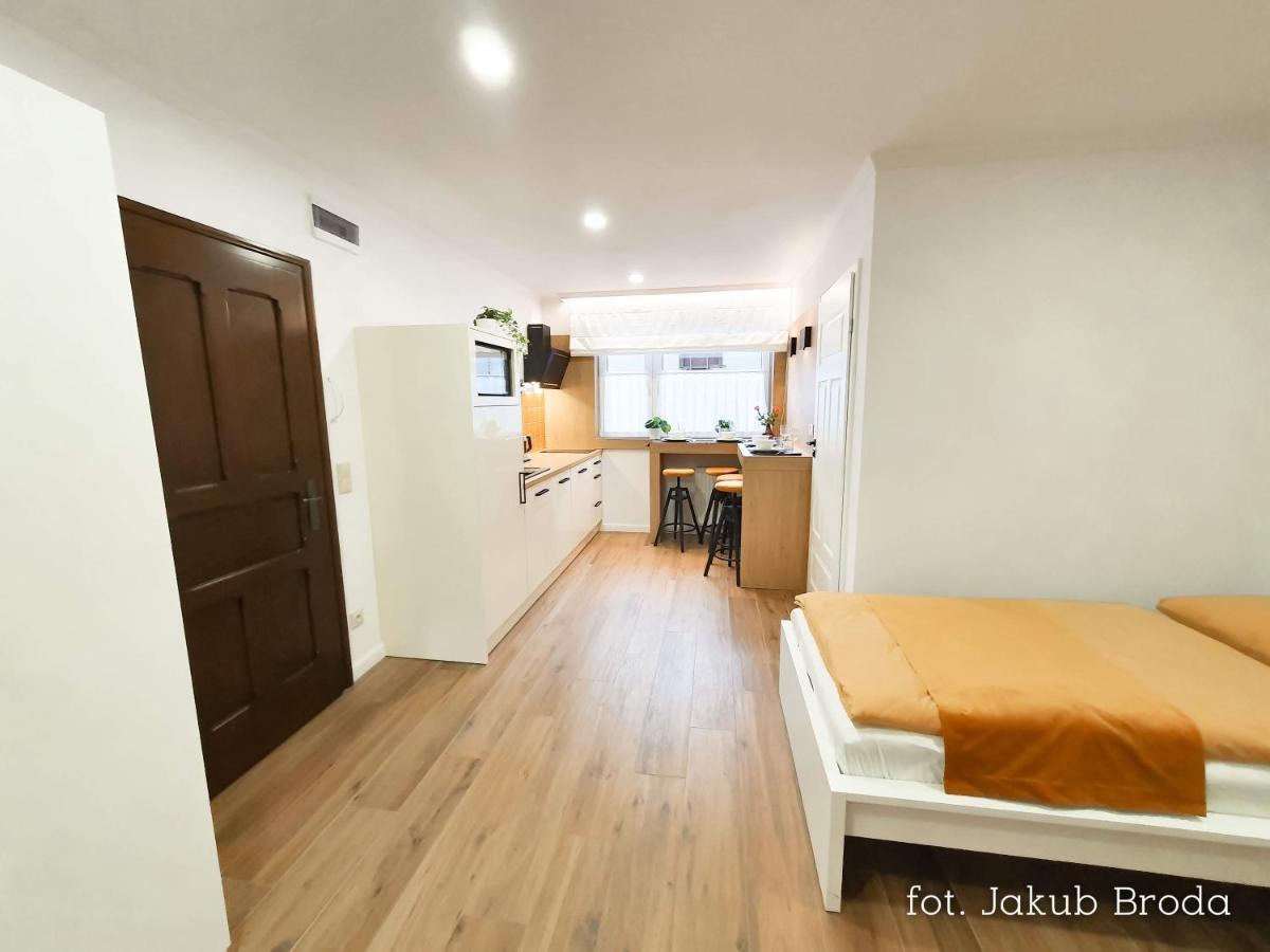 Toszeckie Apartment *